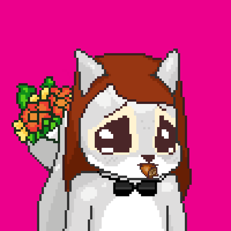 Pixel Squirrels #8637